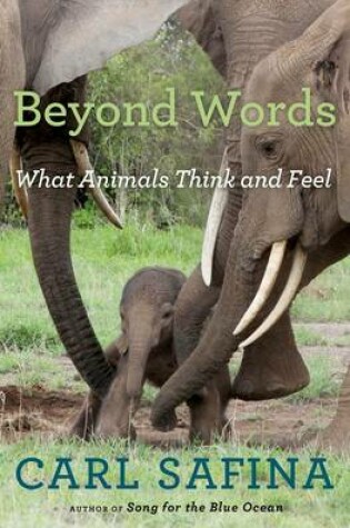 Cover of Beyond Words