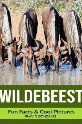Cover of Wildebeest