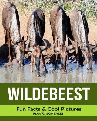 Book cover for Wildebeest