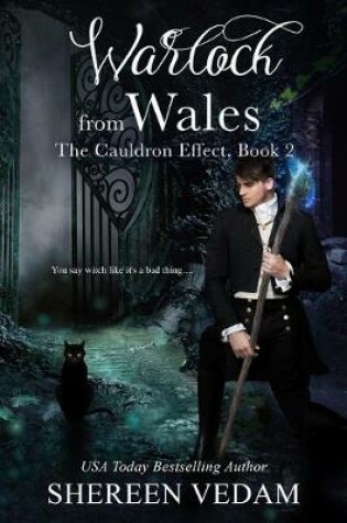 Cover of Warlock from Wales