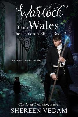 Cover of Warlock from Wales
