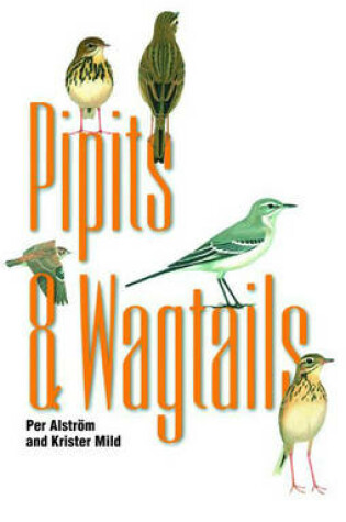 Cover of Pipits and Wagtails