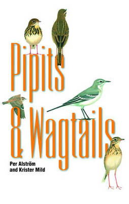 Book cover for Pipits and Wagtails