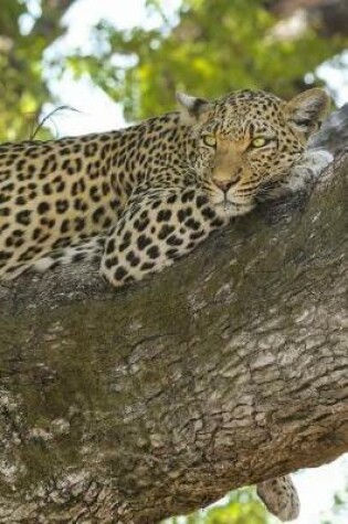 Cover of Awesome Leopard Resting in a Tree Journal