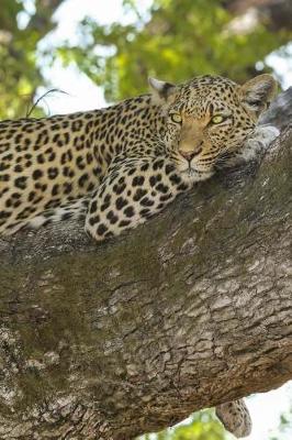 Book cover for Awesome Leopard Resting in a Tree Journal