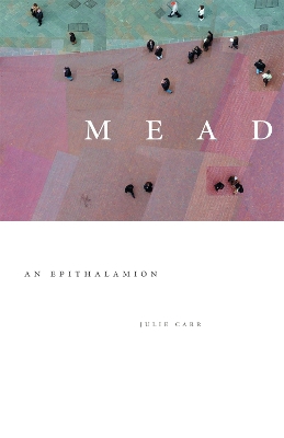 Book cover for Mead