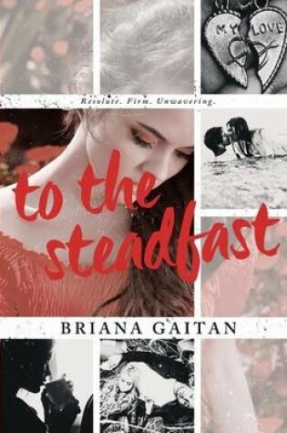 Cover of To the Steadfast