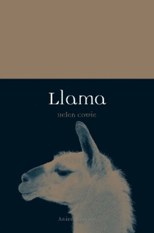 Cover of Llama