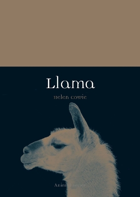 Cover of Llama