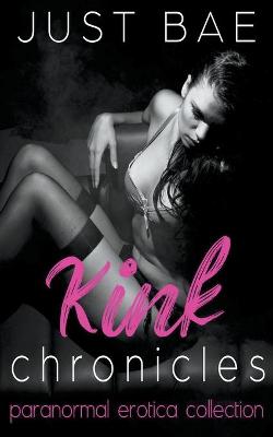 Book cover for Kink Chronicles