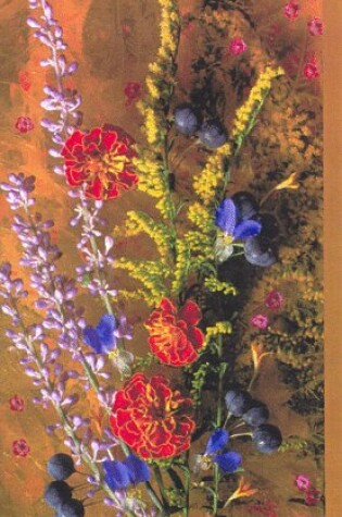 Cover of Goldenrod and Dayflowers