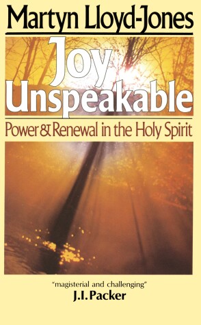 Book cover for Joy Unspeakable