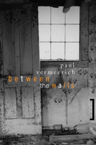 Cover of Between the Walls