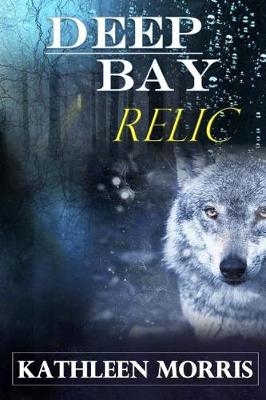 Book cover for Deep Bay Relic - A Christian Mystery Suspense