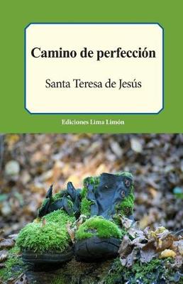 Book cover for Camino de Perfeccion