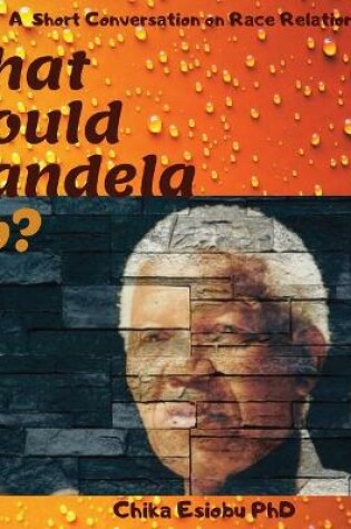 Cover of What Would Mandela Do?