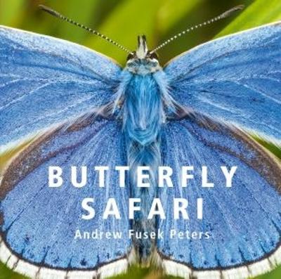 Book cover for Butterfly Safari