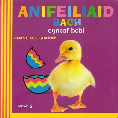 Book cover for Anifeiliaid Bach Cyntaf Babi / Baby's First Baby Animals