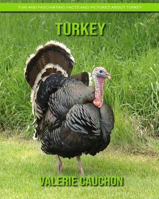 Book cover for Turkey - Fun and Fascinating Facts and Pictures About Turkey