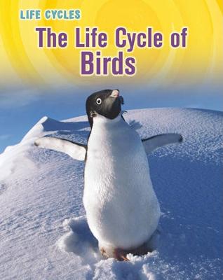 Book cover for Life Cycles Life Cycle of Birds