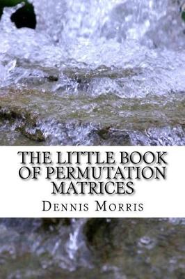 Cover of The Little Book of Permutation Matrices