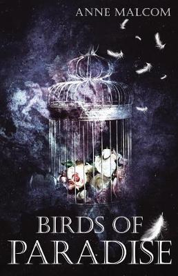 Book cover for Birds of Paradise