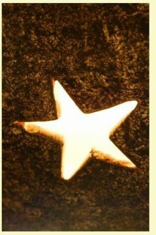 Cover of Luminescent Starfish