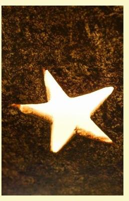 Cover of Luminescent Starfish