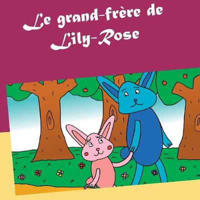 Book cover for Le grand-frère de Lily-Rose