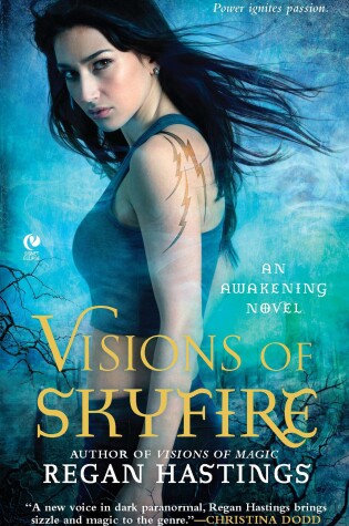 Cover of Visions of Skyfire