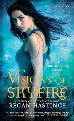 Cover of Visions of Skyfire