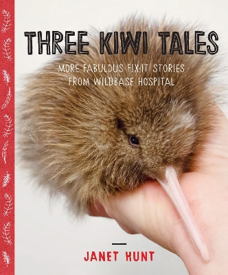 Book cover for Three Kiwi Tales