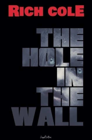 Cover of The Hole in the Wall