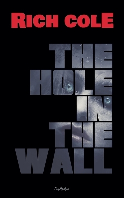 Book cover for The Hole in the Wall