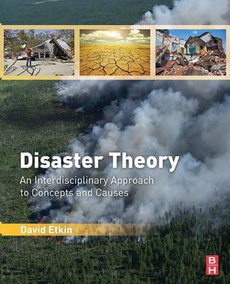 Book cover for Disaster Theory