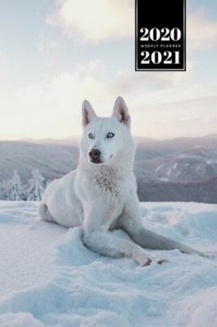 Cover of Wolf Wolves Week Planner Weekly Organizer Calendar 2020 / 2021 - Lie in Snow