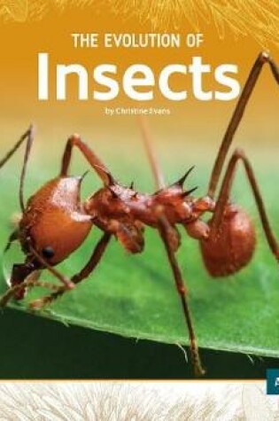 Cover of The Evolution of Insects