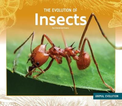 Book cover for The Evolution of Insects