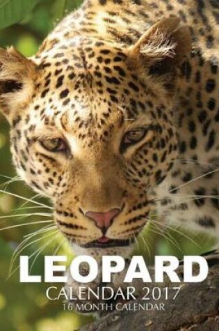 Cover of Leopard Calendar 2017