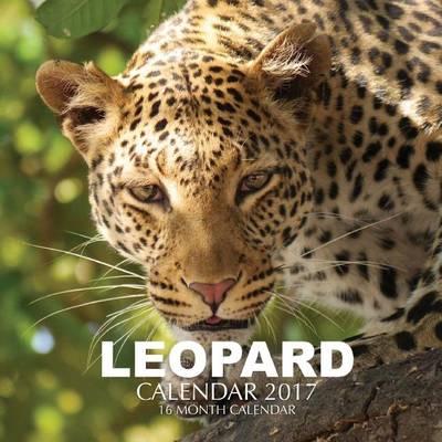 Book cover for Leopard Calendar 2017