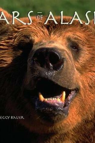 Cover of Bears of Alaska