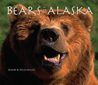 Book cover for Bears of Alaska