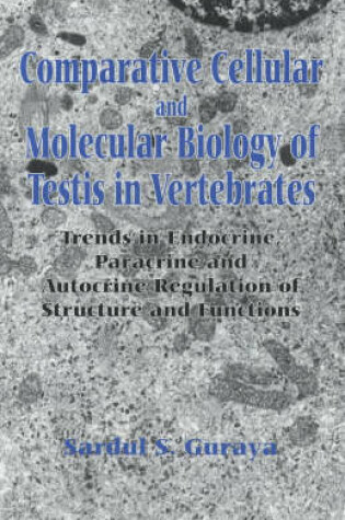 Cover of Comparative Cellular and Molecular Biology of Testis in Vertebrates