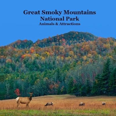 Book cover for Great Smoky Mountains National Park Kids Book