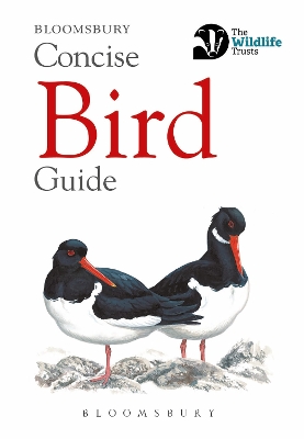 Book cover for Concise Bird Guide