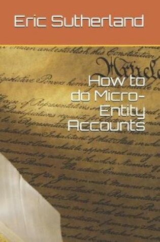Cover of How to do Micro-Entity Accounts