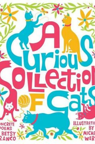 Cover of A Curious Collection of Cats