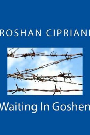 Cover of Waiting In Goshen