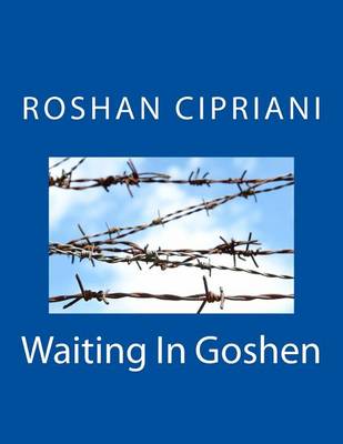 Book cover for Waiting In Goshen