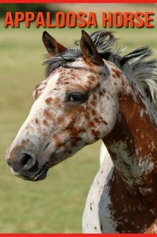 Cover of Appaloosa Horse